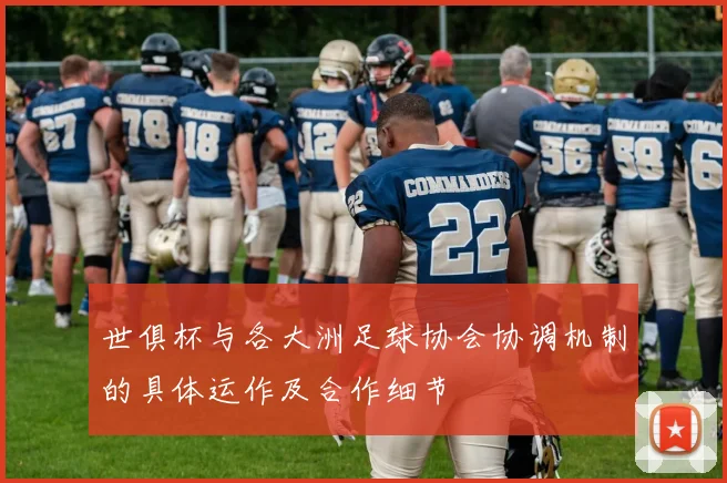 世俱杯与各大洲足球协会协调机制的具体运作及合作细节