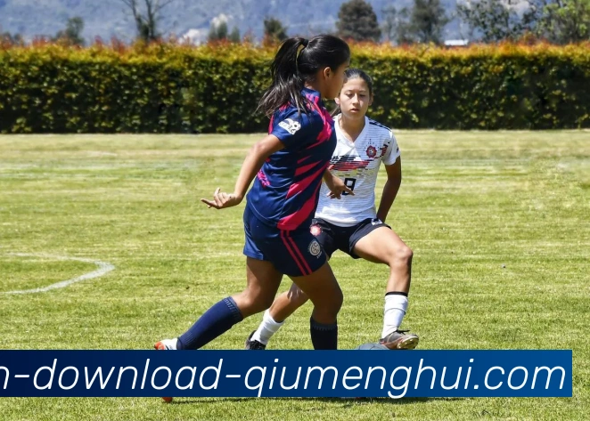 多媒体互动体验